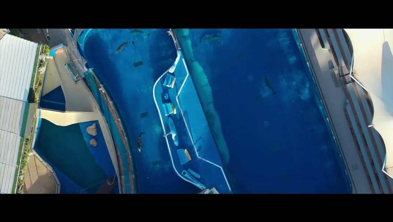 Qu'est-il arrivé au roi des dauphins ? Bande-annonce (IT)