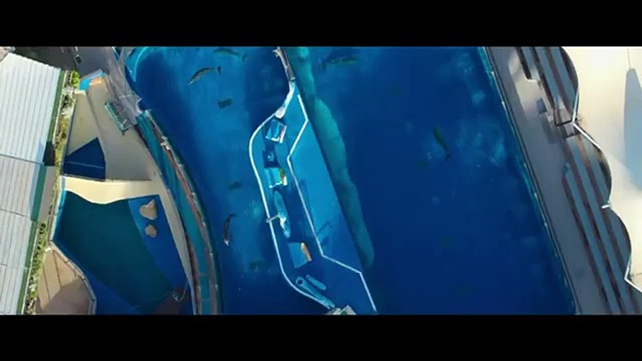 Qu'est-il arrivé au roi des dauphins ? Bande-annonce (EN)