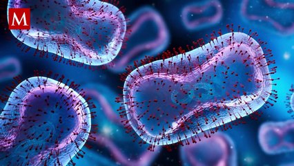 Xibalbá: ésta es la nueva variante de covid-19 que predomina en Yucatán