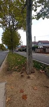 Grenoble 2022 Cours Jean Jaures #France