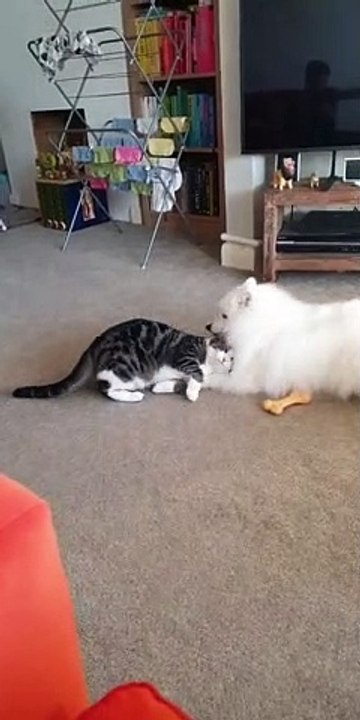 Different Species, Same Love