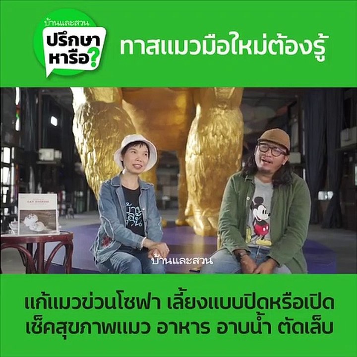 บ้านและสวนปรึกษาหารือ EP.8 เทคนิกการเลี้ยงแมว
