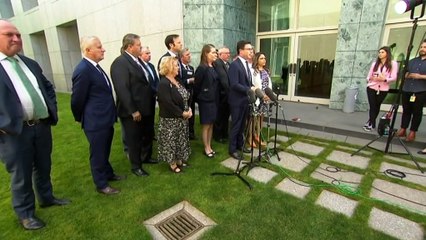 Noel Pearson says 'kindergarten kid' David Littleproud capitulated on Voice to Parliament in blistering rebuke of Nationals