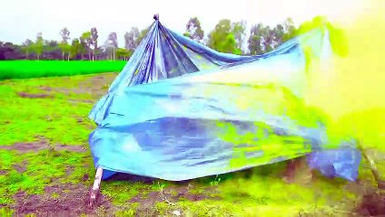 Tui Tui Funny Video tui tui funny challenging video 2022 try not to laugh video