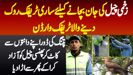 Injured Eagle Ki Jaan Bachane Ke Liye Sari Traffic Rok Dene Wala Traffic Warden