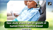 New study sheds light on growth of human triple negative breast cancers