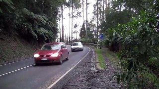 Footage of road in Mount Dandenong