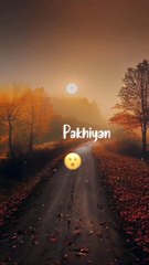 chand sitare || Whatsapp Status || Status Forever || Status || #dailymotion #video #shorts #shortscreator #creator