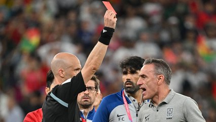 '벤투에 레드카드' 꺼낸 테일러 심판, 해외에서도 비판 여론 / YTN