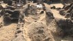 Nil Nehri kıyısını kazan Arkeologlar, mezardan çıkan altınlarla büyük mutluluk yaşadı