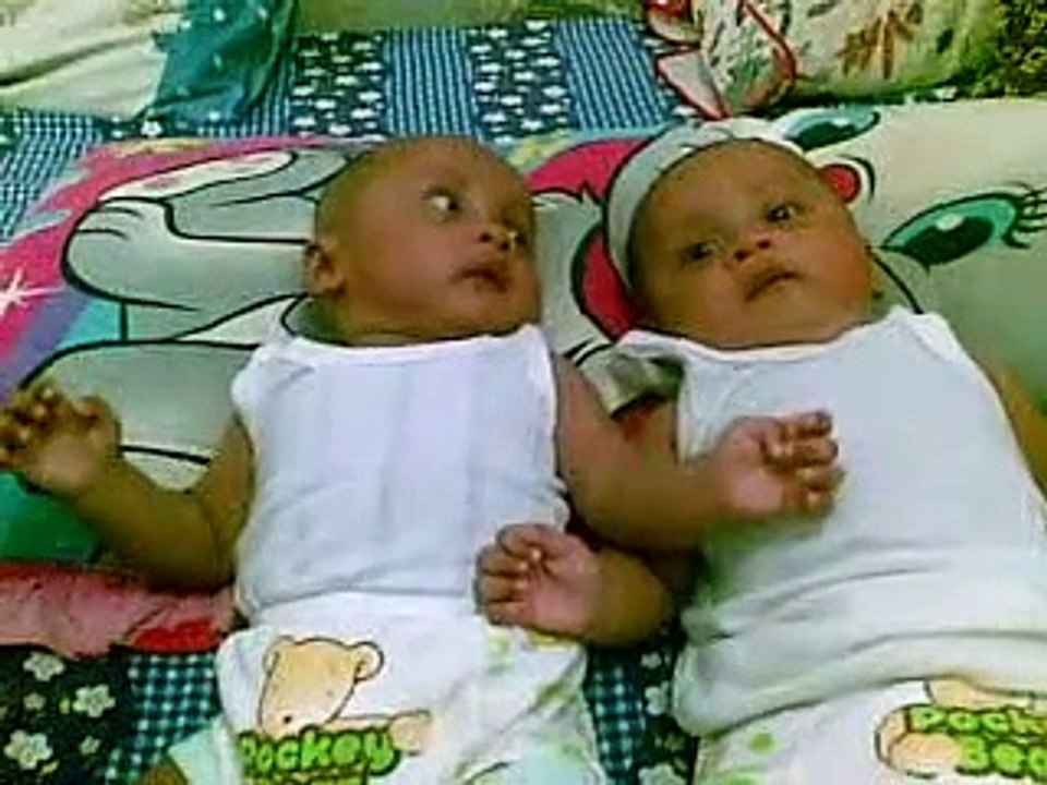 lucu