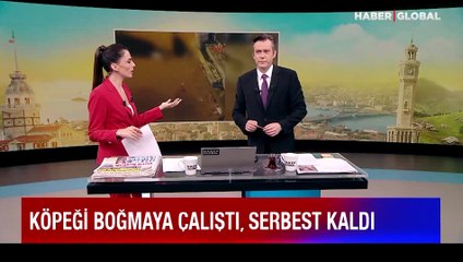 Önce Konya sonra İstanbul ve Mardin: Köpeği boğmaya çalıştı, serbest kaldı!