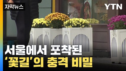[자막뉴스] 100억 사업이라더니...책정기준도 모르는 구청 / YTN