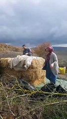 Lihat kekompakan suami istri adik ipar Turki ku bekerja