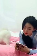 Funny Cats and Dog Compilation (Most Popular) Part 1