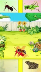 PUZZLES !! MATCHING ANT IMAGES |PUZZLE !! MENCOCOKKAN GAMBAR SEMUT  #puzzleeduid