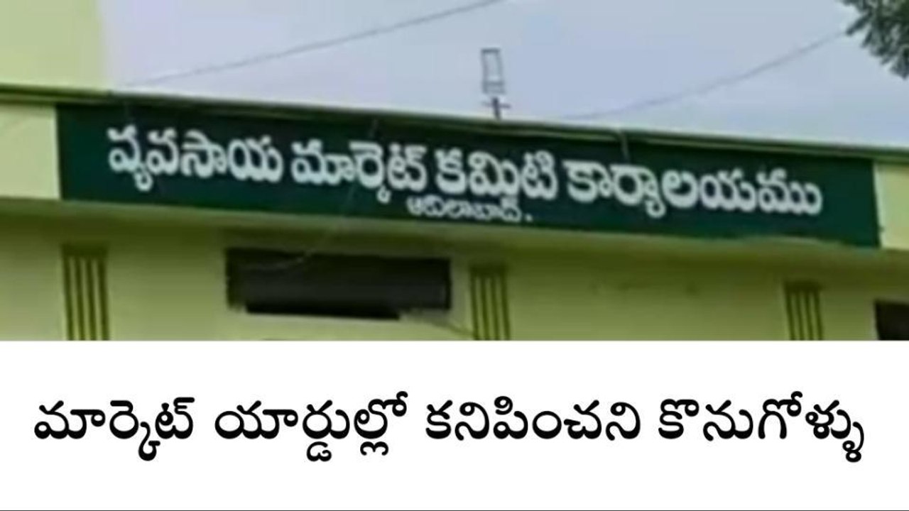 ఆదిలాబాద్: నష్టపోతున్న జిల్లా రైతులు.. కారణం ఎవరు..?