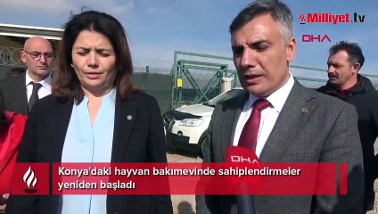 Konya'daki hayvan bakımevinde sahiplendirmeler yeniden başladı