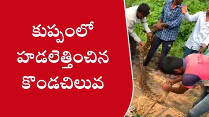 కుప్పం: ఈ వీడియో చూస్తే ఒళ్లు జలదరించడం ఖాయం..!