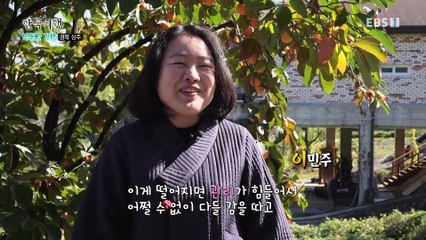 한국기행 - Korea travel_낙동강 기행 2부- 가을이 주렁주렁_#002