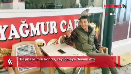 Başına kumru kondu, çay içmeye devam etti
