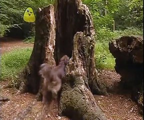 Come Outside - Useful Holes