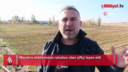 Atıklar tarlalarına döküldü! Çiftçiler, mandıra sahibinden şikayetçi oldu