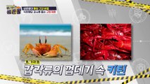 미국 FDA에서도 혈당 감소 기능 인정한 「당분 방패」 TV CHOSUN 221129 방송