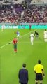 Mondiali 2022, invasione di campo con bandiera arcobaleno - Video