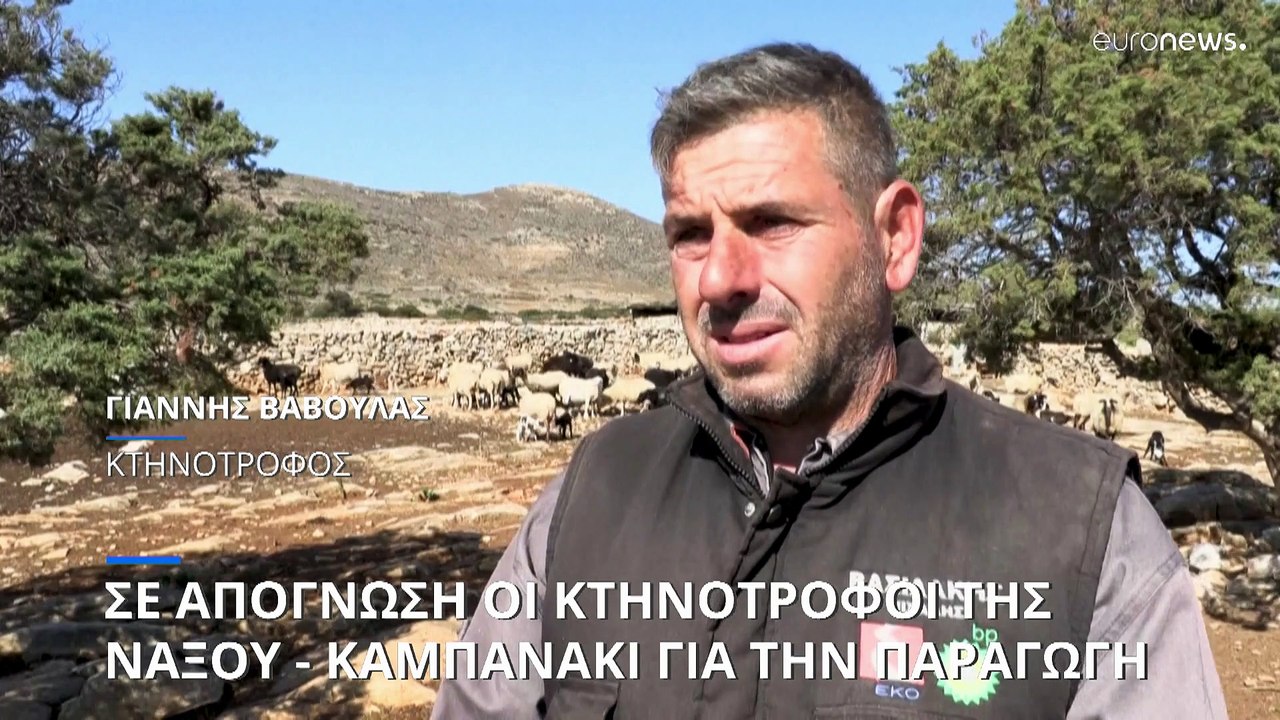 Σε απόγνωση οι κτηνοτρόφοι των Κυκλάδων - Σε κίνδυνο η γραβιέρα Νάξου