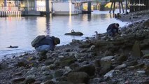 Im Themse-Schlamm stöbern als Hobby - London schiebt Riegel vor