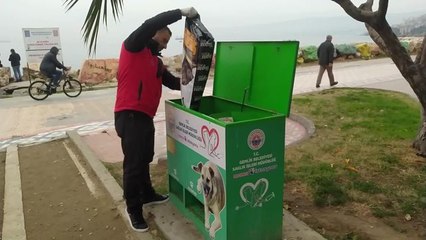 Gemlik Belediyesi'nden Sokakta Yaşayan Patili Dostlara Mama Desteği