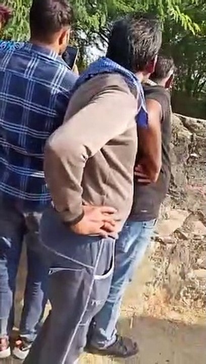 वन विभाग ने पैंथर को किया रेस्क्यू