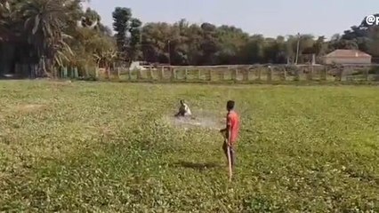 कटिहार: अब खेत उगलेंगे काला सोना, जाने बंपर पैदावार के नुस्खे