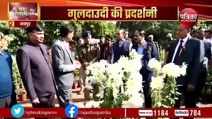गुलदाउदी से गुलजार हुआ राजस्थान विवि, 40 से अधिक वैरायटी की गई हैं प्रदर्शित