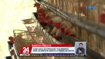 UBRA: sapat ang suplay ng manok hanggang pasko pero tumaas ang farmgate price | 24 Oras