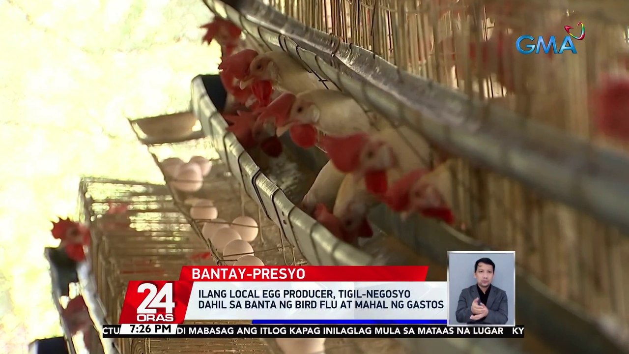 UBRA: sapat ang suplay ng manok hanggang pasko pero tumaas ang farmgate price | 24 Oras
