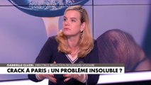 Gabrielle Cluzel sur le crack à Paris : «Il est question de mettre cette ville sous tutelle budgétaire, peut-être qu’on peut la mettre aussi sous tutelle sécuritaire»