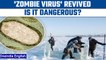 Scientists revive 48,500-year-old ‘zombie virus’ buried in ice | Oneindia News *Science