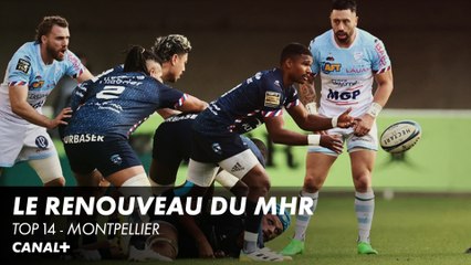 Le MHR est bel et bien de retour - TOP 14 Montpellier