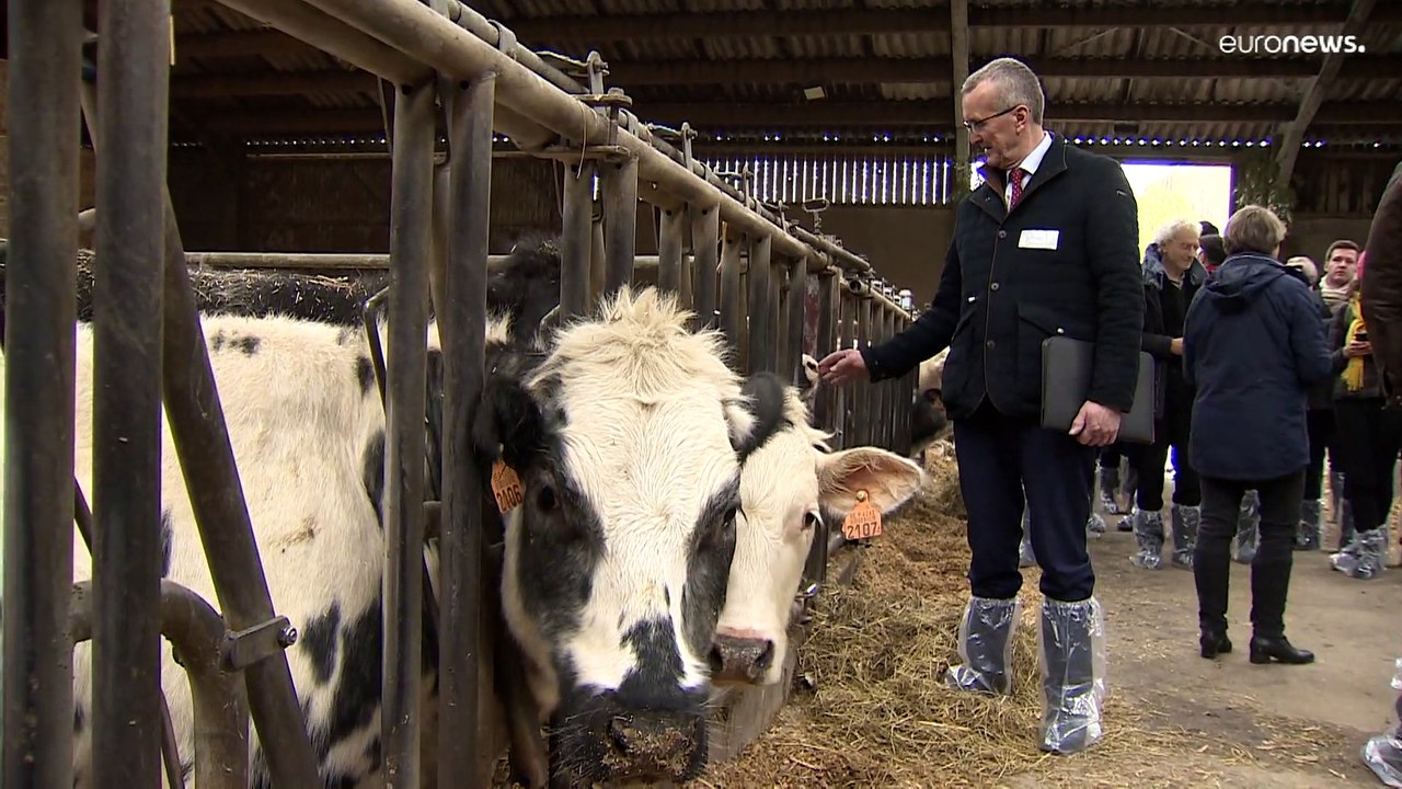 La flambée du prix des engrais dans l’UE menace les agriculteurs et la prochaine récolte