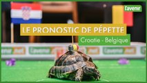 Pépette donne son prono pour Croatie - Belgique