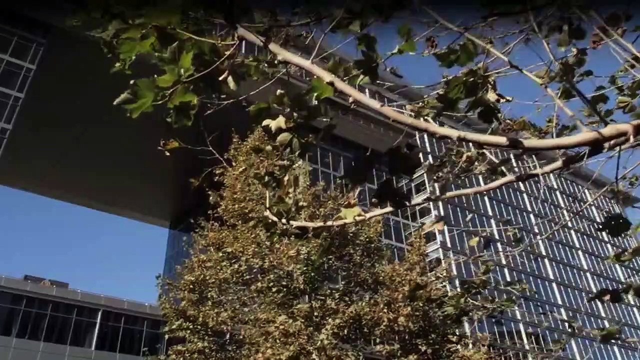 Franklin & Bash Staffel 1 Folge 5 HD Deutsch