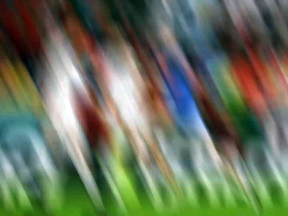 Qatar World Cup Pitch Invader With Rainbow Flag Released: Ministry