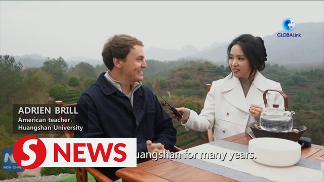 American expat explores Chinese tea culture, industry in Anhui