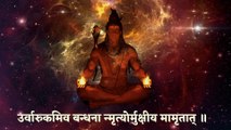 Maha Mritunjya Mantra | Om Tryambakam Yajamahe | महामृत्युंजय मंत्र | 108 Chanting | Shiv Mantra