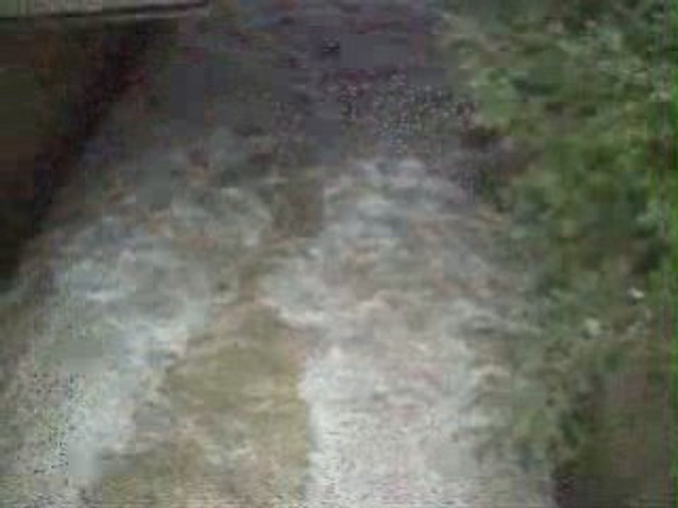 Das Wehr in Reinbek am Mühlenteich