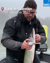 "Grandis bien ! " : une opération de lâcher de poissons sur le grand étang de La Jemaye en Dordogne