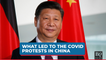 What Led To The Covid Protests in China?