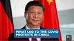 What Led To The Covid Protests in China?